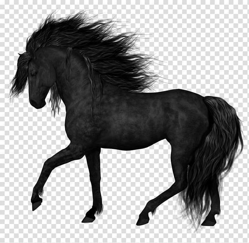 A majestic black horse with flowing mane and tail in mid-trot, captured against a transparent background.