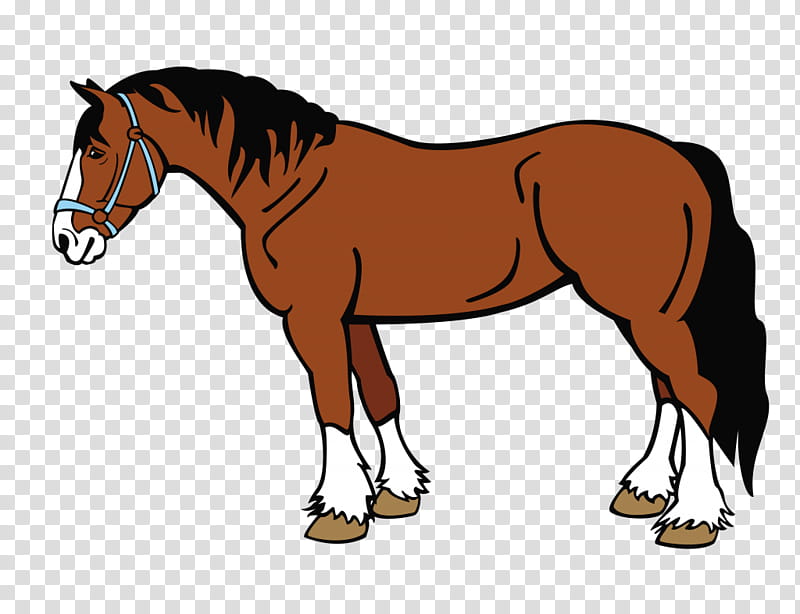 horse barns