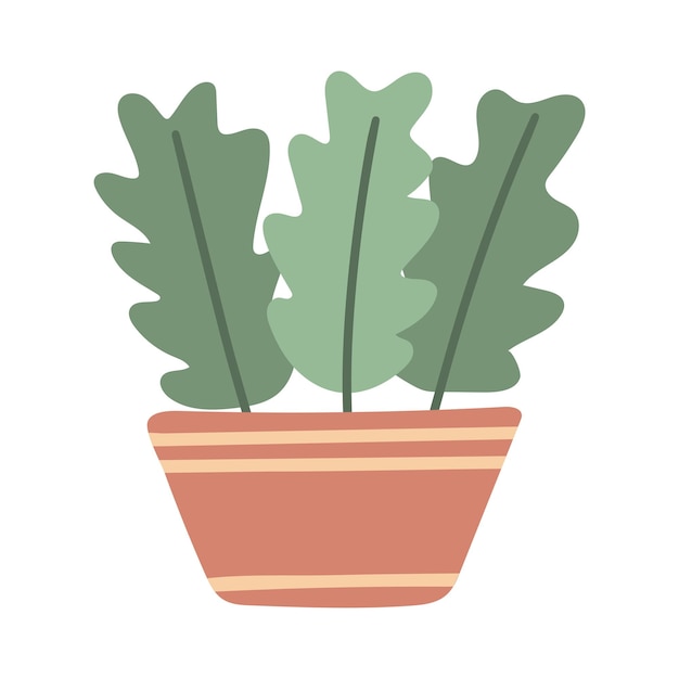 Illustrated potted plant with three green oak-like leaves in a striped terracotta pot.