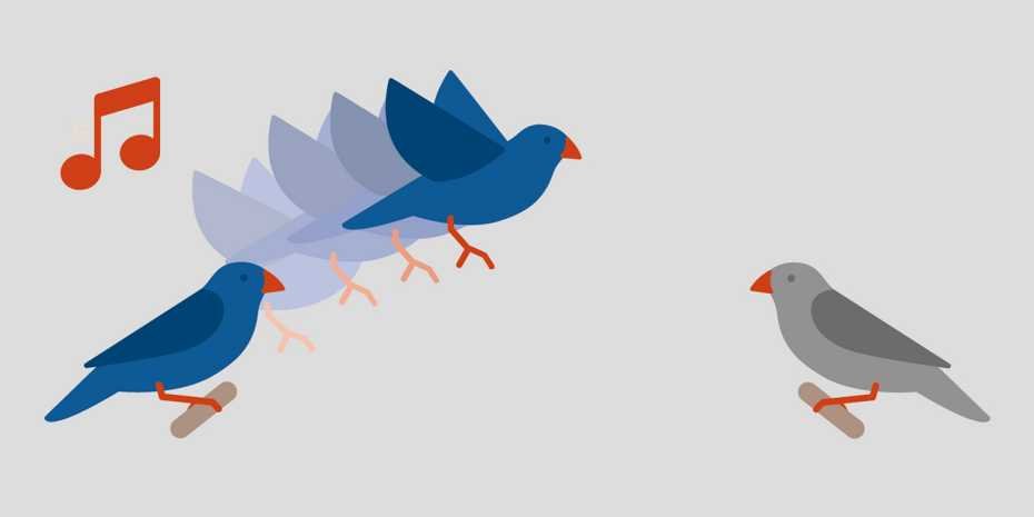 Birds Singing Illustration - Visual Metaphor for Communication and Observation