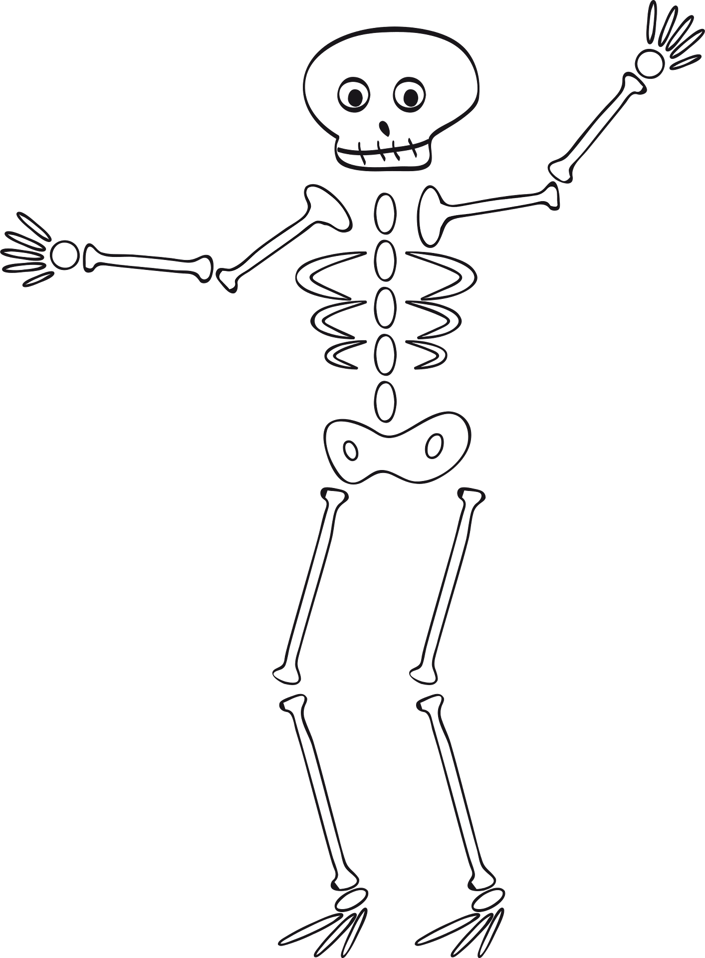 Free human skeleton, Download Free human skeleton png images, Free ...