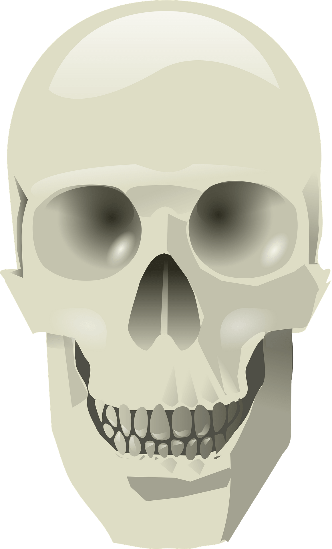 head-skull-clip-art-old-design-shop-blog-clip-art-library