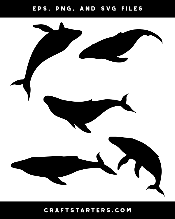 Five black whale silhouettes in various swimming poses on white background, available as EPS, PNG, and SVG files.