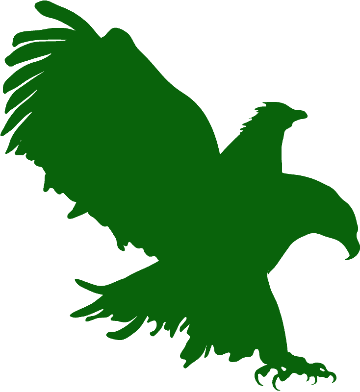 Green Eagle Head in Vector Art Illustration Stock Vector - Clip Art Library