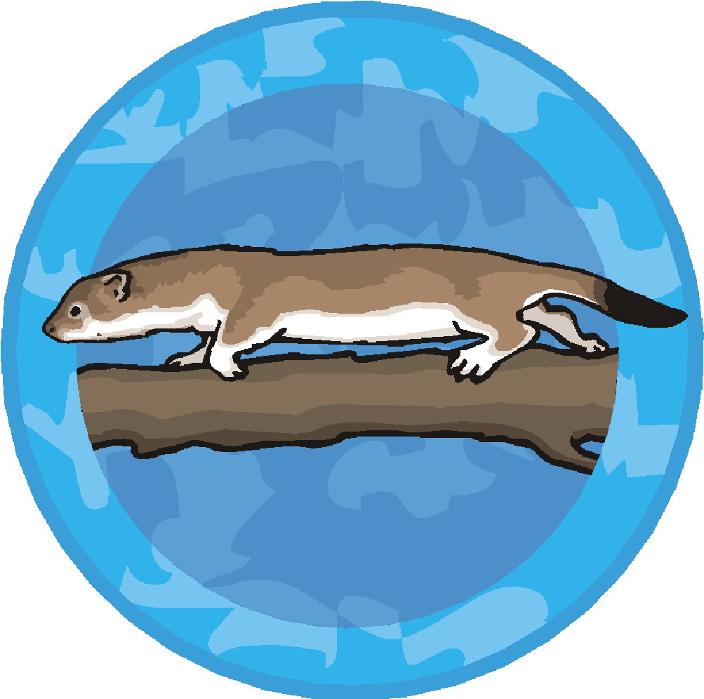 A brown and white weasel-like mammal perched on a branch against a blue circular background.
