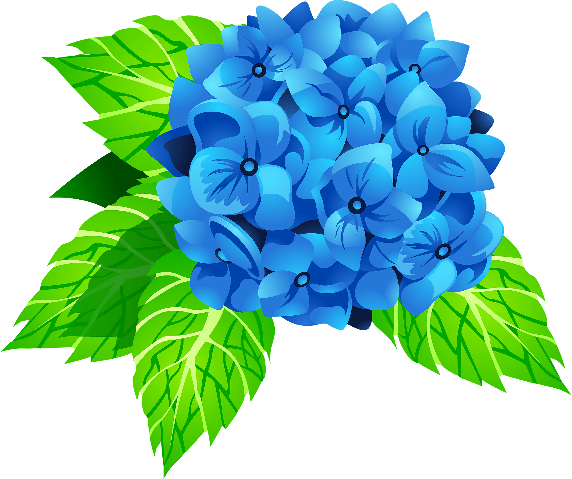 hydrangea petal clipart - Clip Art Library - Clip Art Library