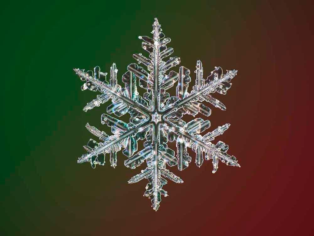 Macro photograph of a highly detailed, symmetrical snowflake against a green-to-red gradient background.