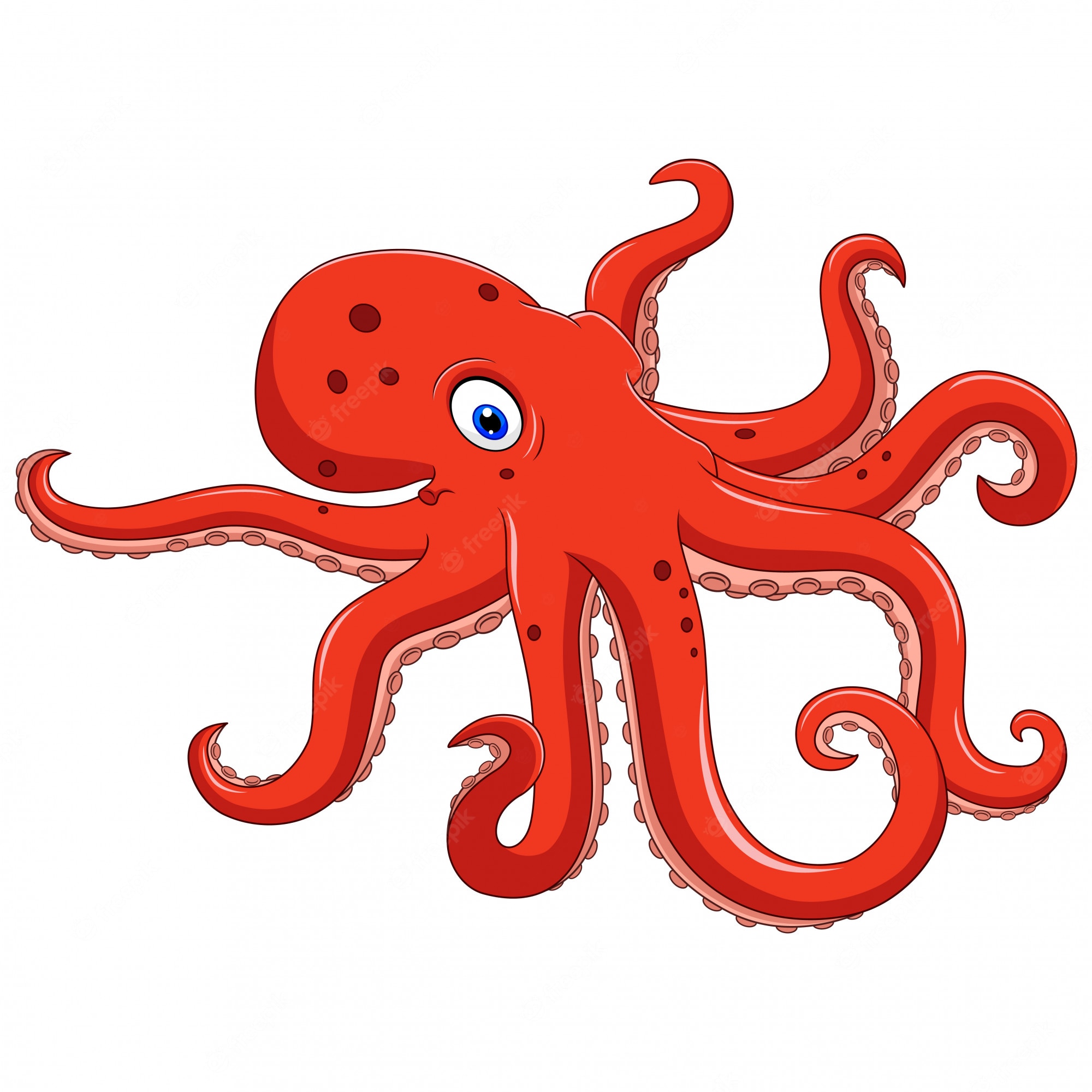 Cute octopus cartoon. octopus clipart illustration | Download on - Clip ...