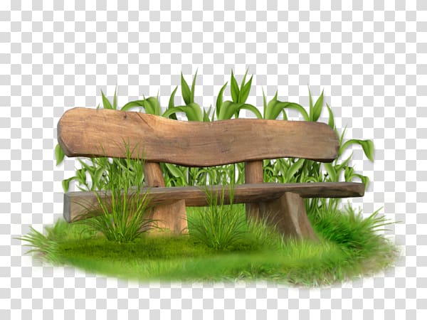 Rustic wooden bench surrounded by lush green grass and tall foliage on transparent background.