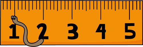 A cartoon worm positioned on an orange ruler, measuring approximately 1.5 units long.