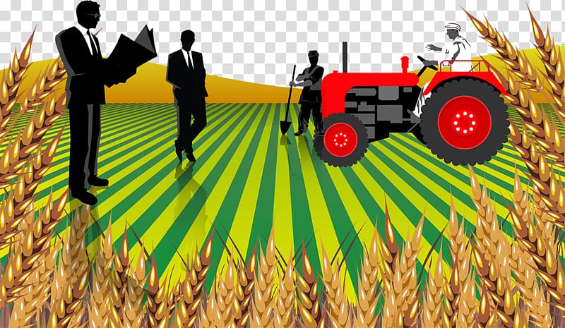 Agribusiness Collaboration - Farmers and Executives Working Together