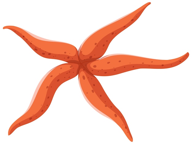 Vibrant orange five-armed starfish illustration with speckled texture on white background.