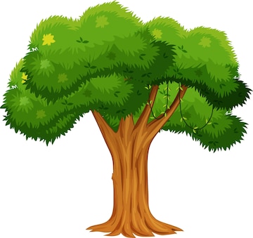 A lush green cartoon-style tree with a thick brown trunk and full foliage, ideal for nature or education content.