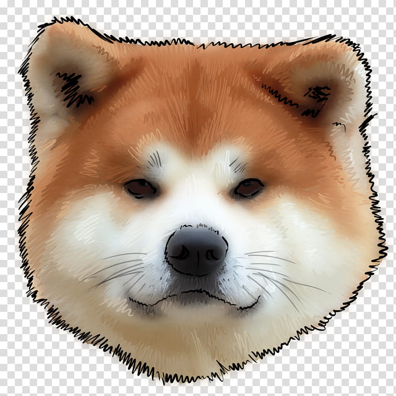 akitas - Clip Art Library