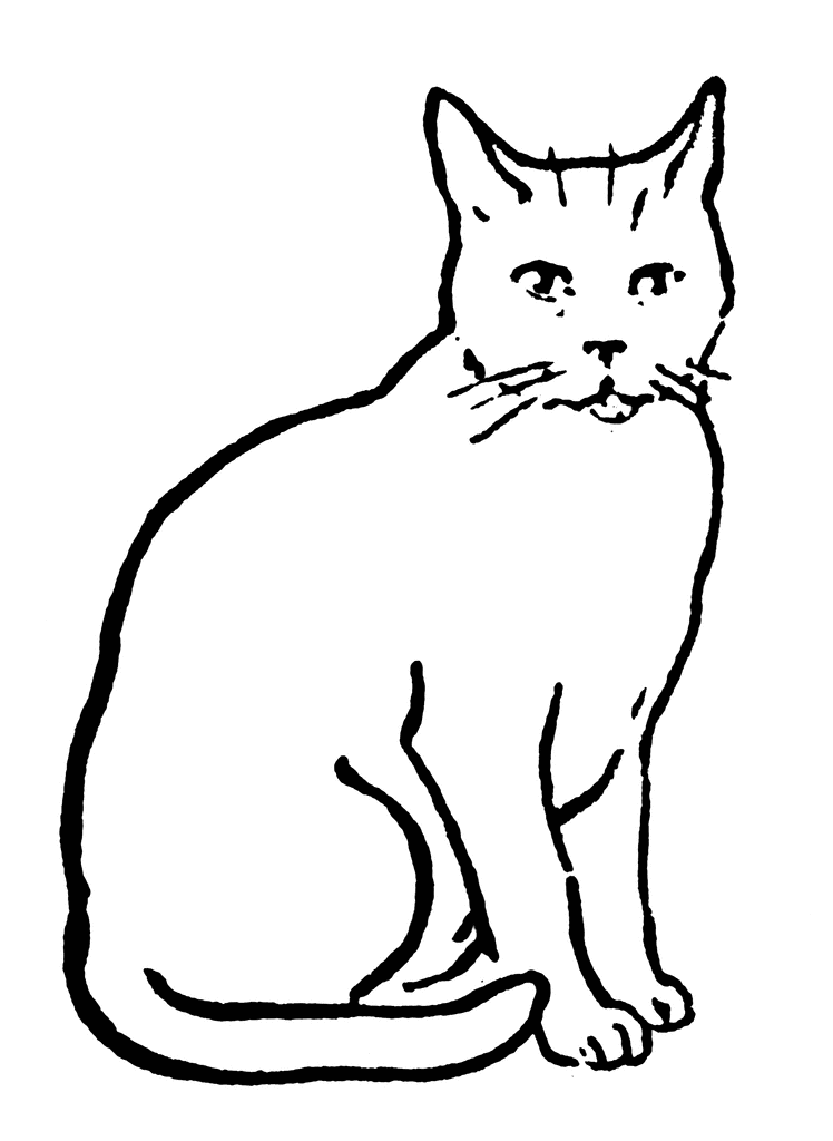 Simple Cat Line Drawing - Free Printable Coloring Page for Kids & Adults