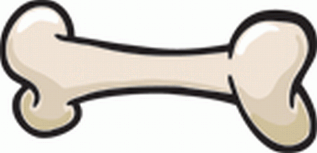 Dog Bone Illustration - Free Clipart for Pet Content