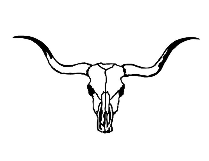 Black-and-white line drawing of a Texas longhorn skull with large, sweeping horns on a white background.
