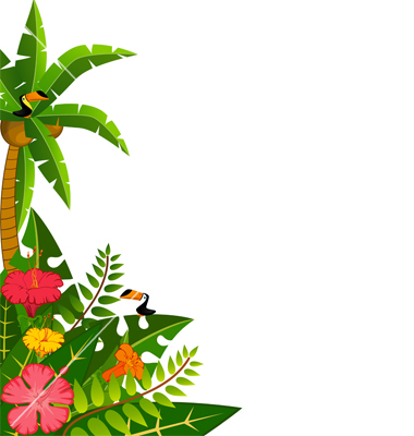 Hawaii Clip Art Picture Frames Borders And Frames Image PNG Clip Art Library