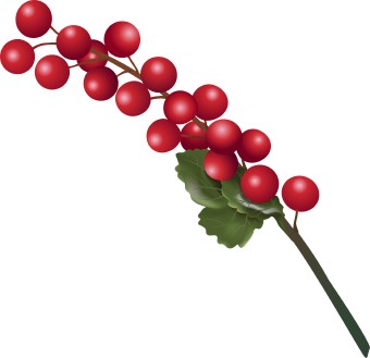 A cluster of glossy red berries on a green stem with leaves, resembling winterberry or holly.