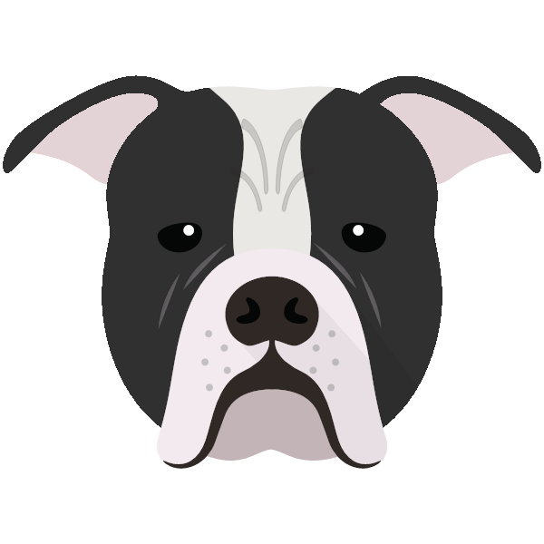 Pit Bull Terrier Breed Guide | Characteristics & Care Tips