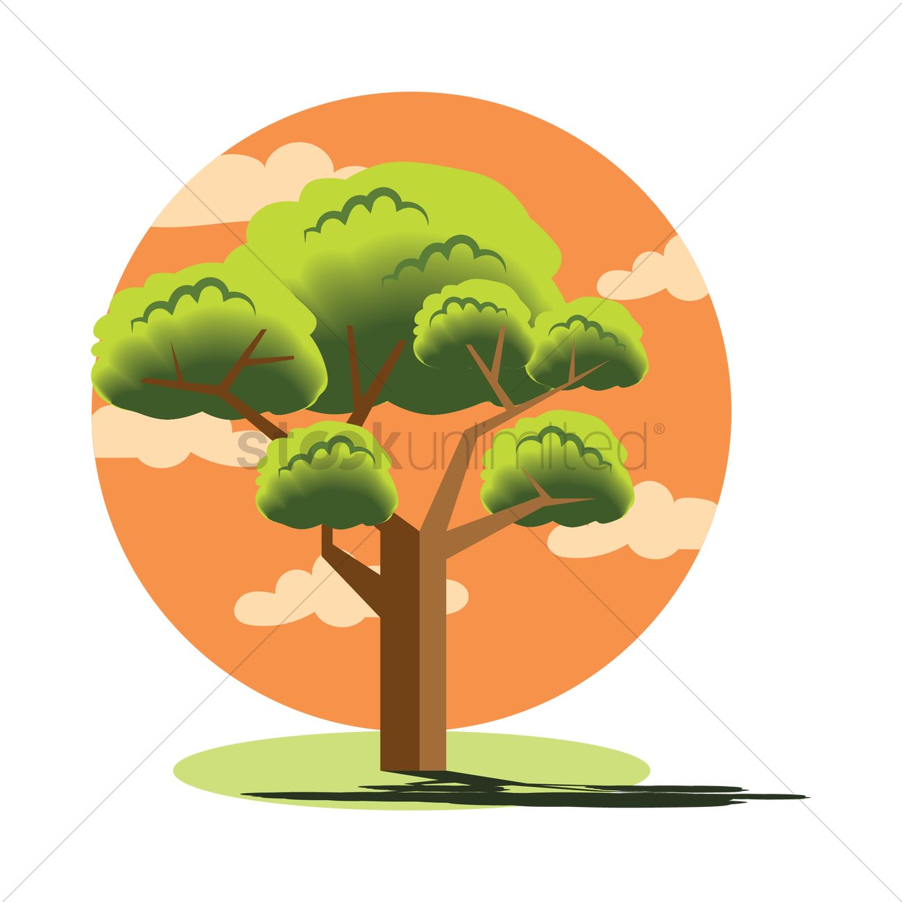 juniper trees - Clip Art Library