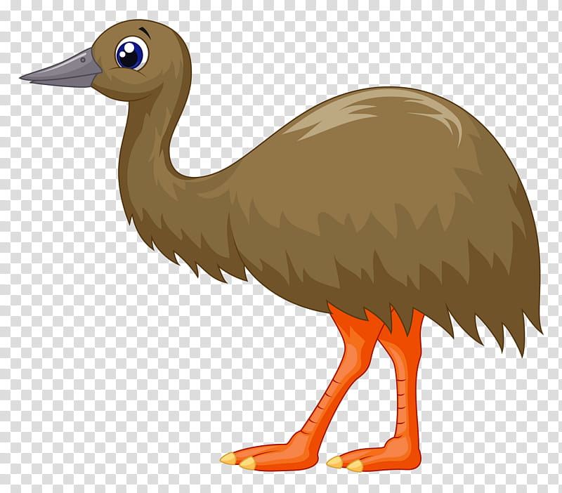 Cartoon illustration of a brown kiwi bird with large blue eyes, orange legs, and a long gray beak on transparent background.