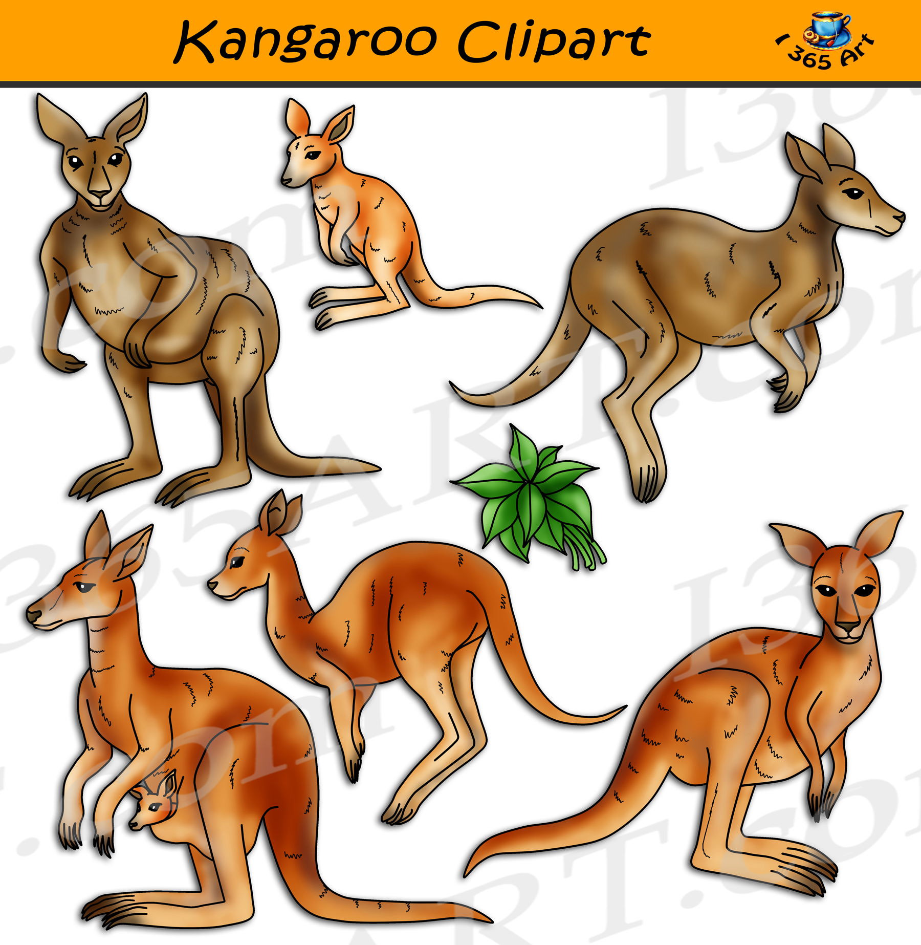 Kangaroo Clipart Set - Free Downloadable Illustrations for Education & Design