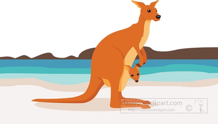 Kangaroo with Joey on Beach - Australian Wildlife Illustration