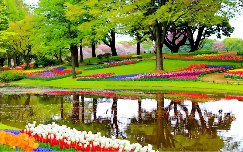 Spring Tulip Garden with Pond Reflections - Serene Japanese Landscape
