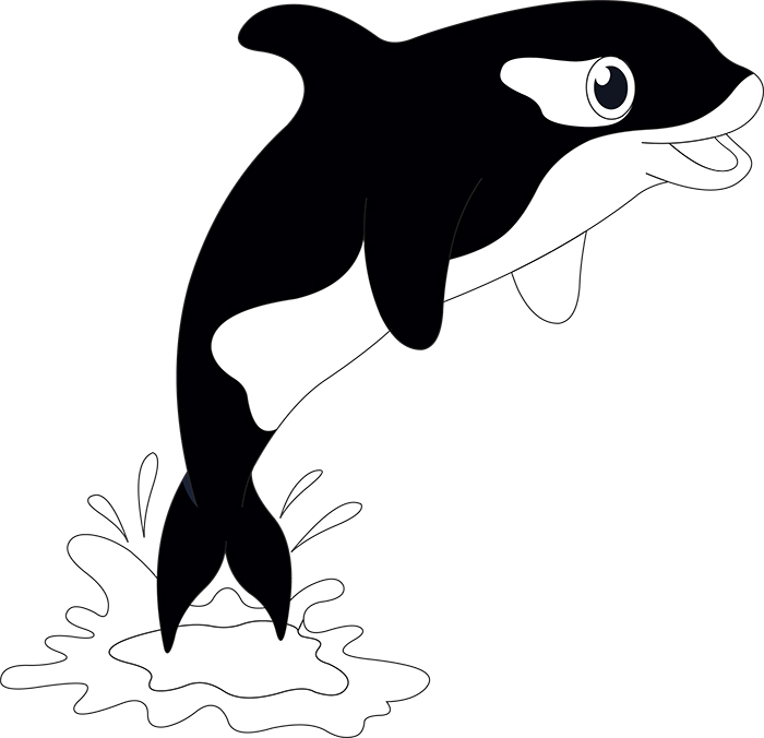 Black-and-white orca whale leaping from water with splash, cartoon style.
