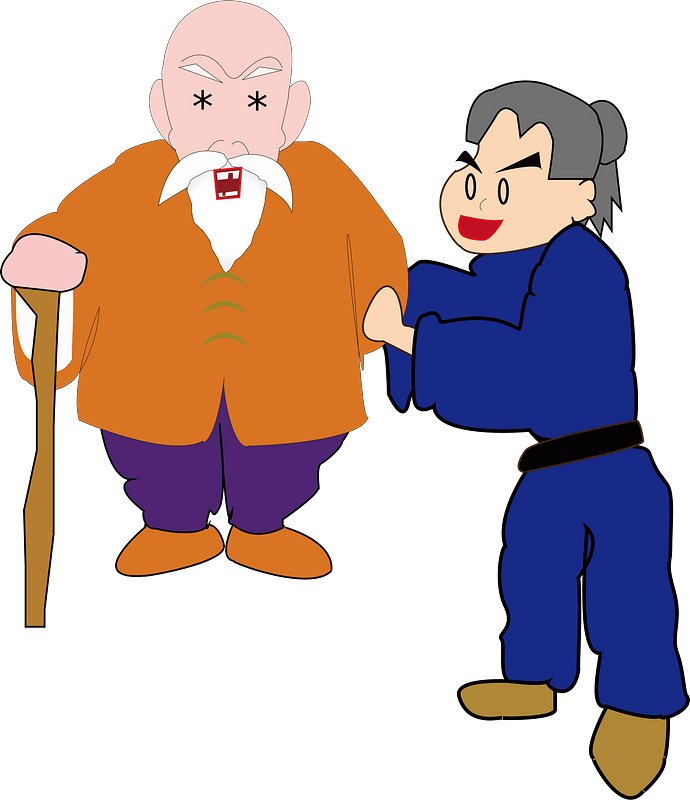 Master and Disciple Martial Arts Illustration - Training & Legacy