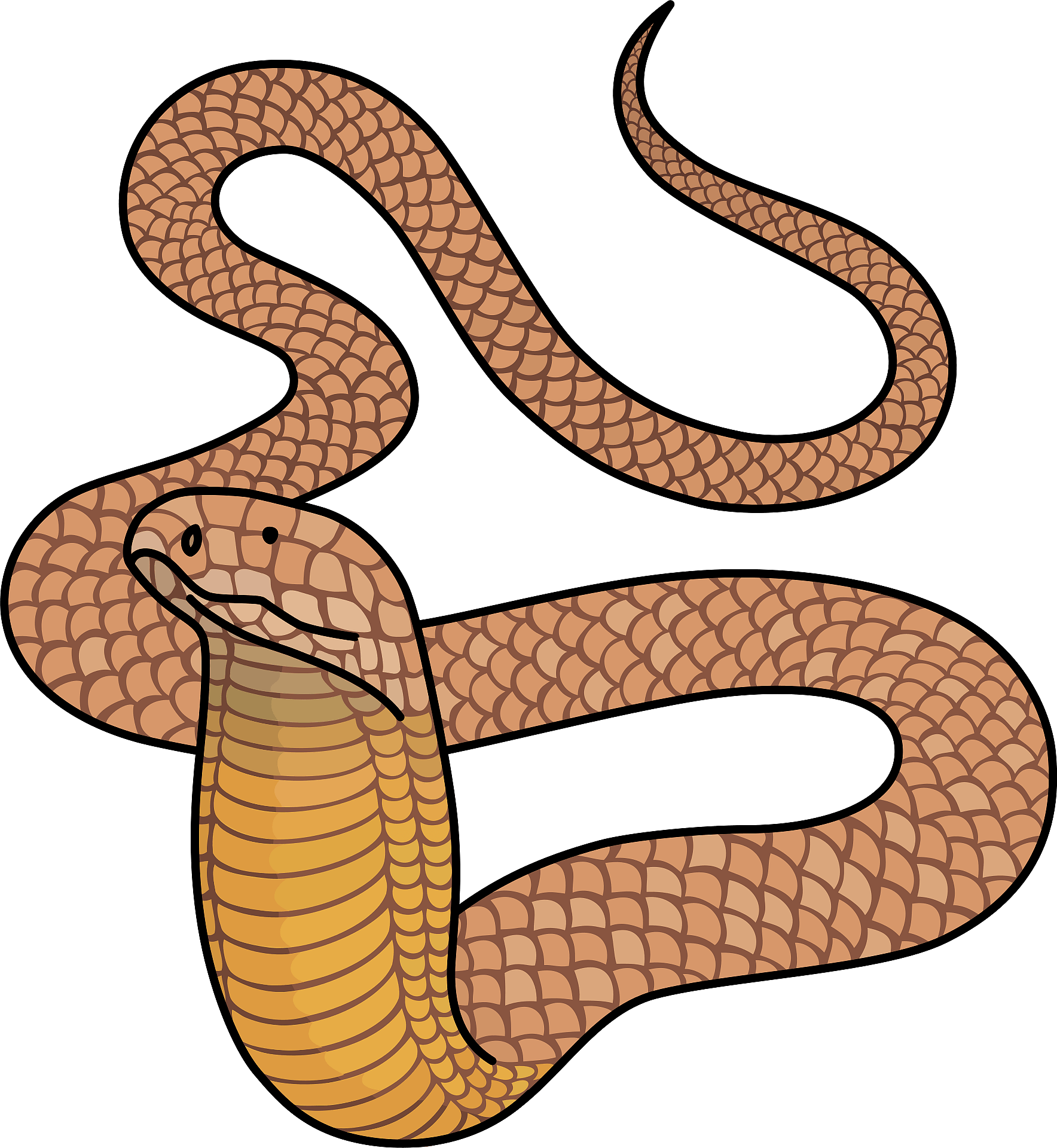 King Cobra Snake Wall Decal – Wallmonkeys