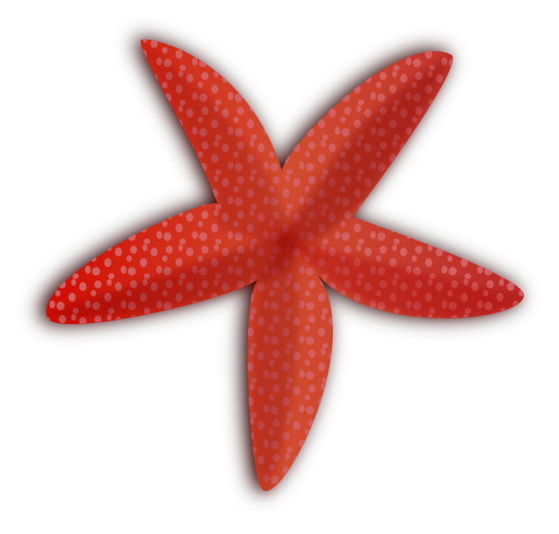 Vibrant red five-armed starfish with white polka dots and dark outline on black background.