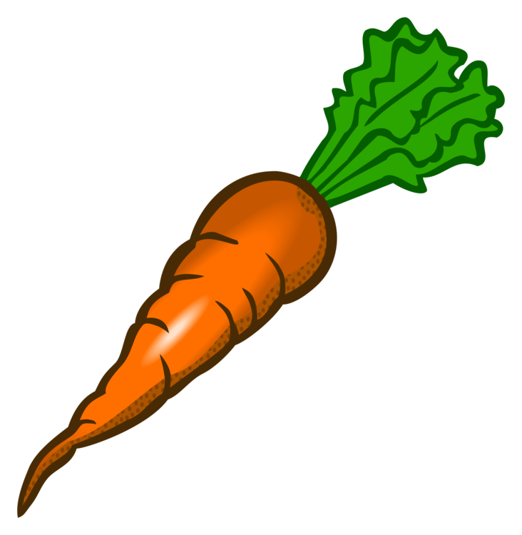 Bright orange carrot with green leafy top, cartoon-style illustration on black background.