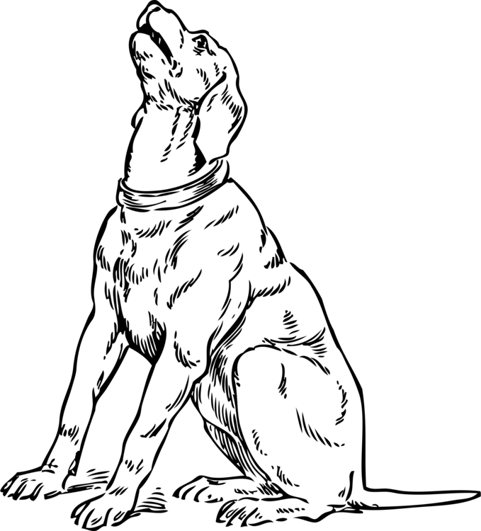 Abstract white fragments scattered across a black background, evoking motion or disintegration.