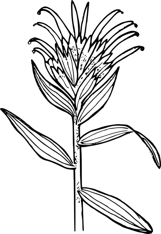 Blank image placeholder with no visible content.