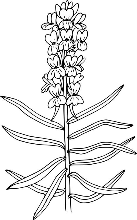 A blank black image with no visible content or detail.