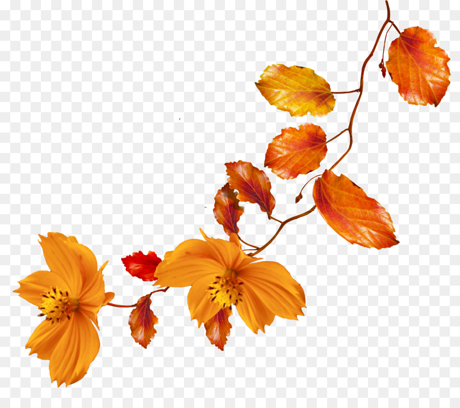 Png Fall Flowers Transparent Fall Flowers - Fall Flowers Clipart 