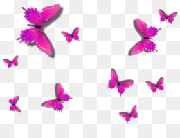 Vibrant pink butterflies with intricate wing patterns flying against a transparent checkered background.