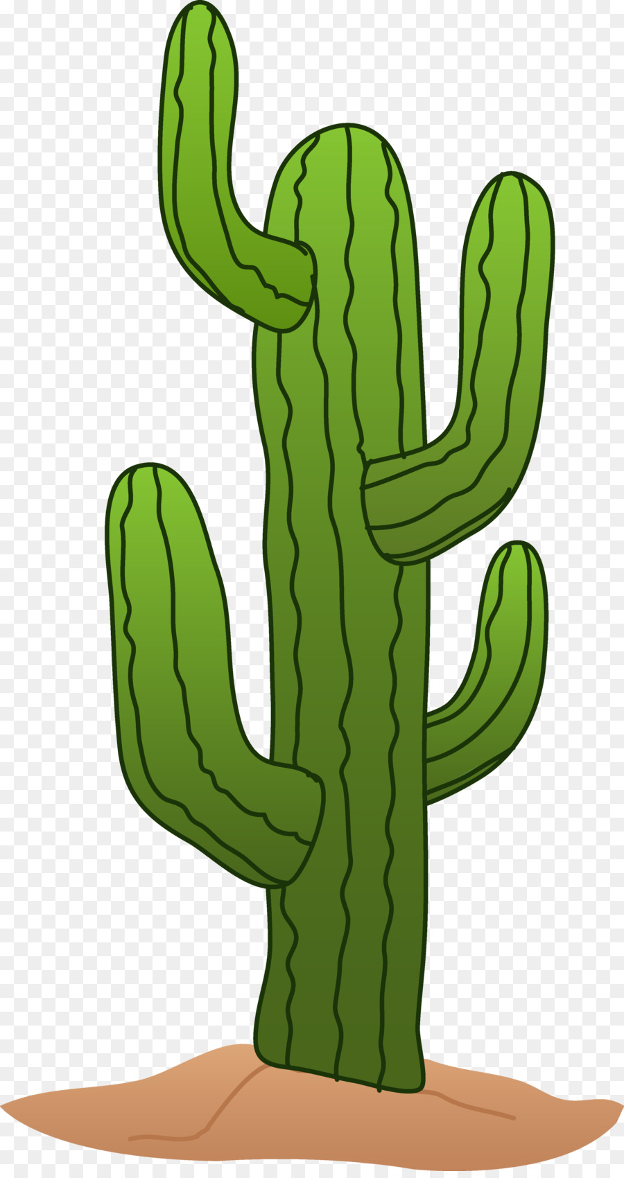 Cartoon Saguaro Cactus Illustration - Free PNG Download