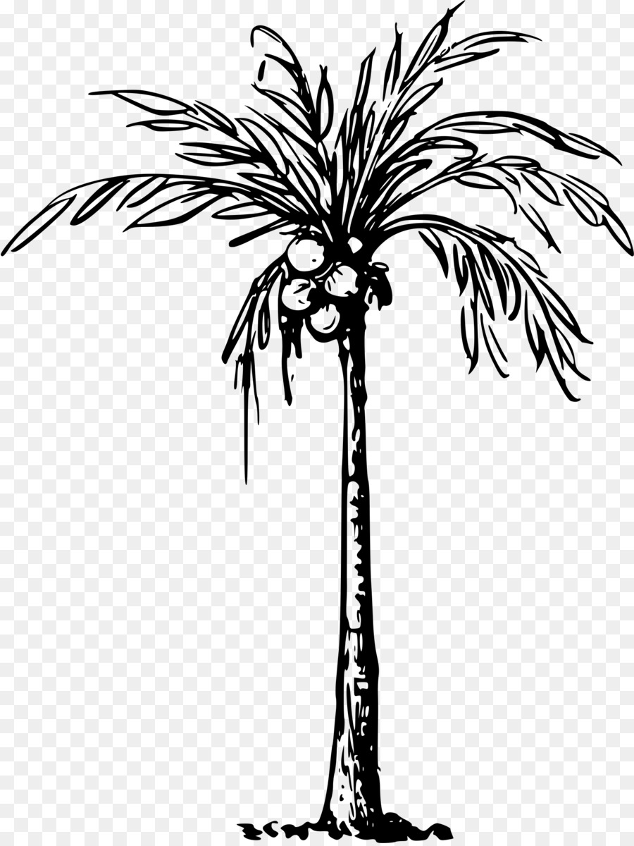 Black-and-white line drawing of a tall palm tree with coconuts and fronds swaying in the wind.