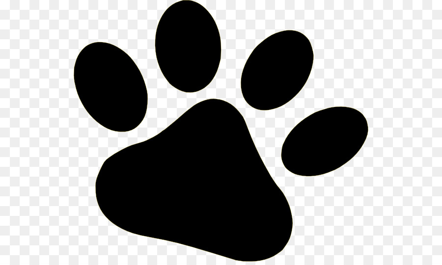 dog paw