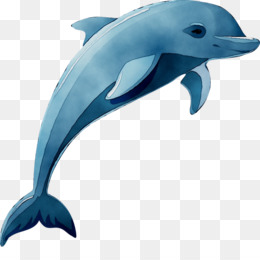 90s dolphins