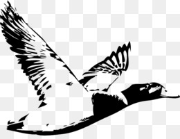 Blow Me Duck Call Hunting Decal - Blow Me Duck Call Hunting Sticker