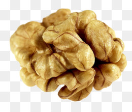 A close-up of a fresh, light-brown walnut kernel with intricate ridges and folds, isolated on transparent background.