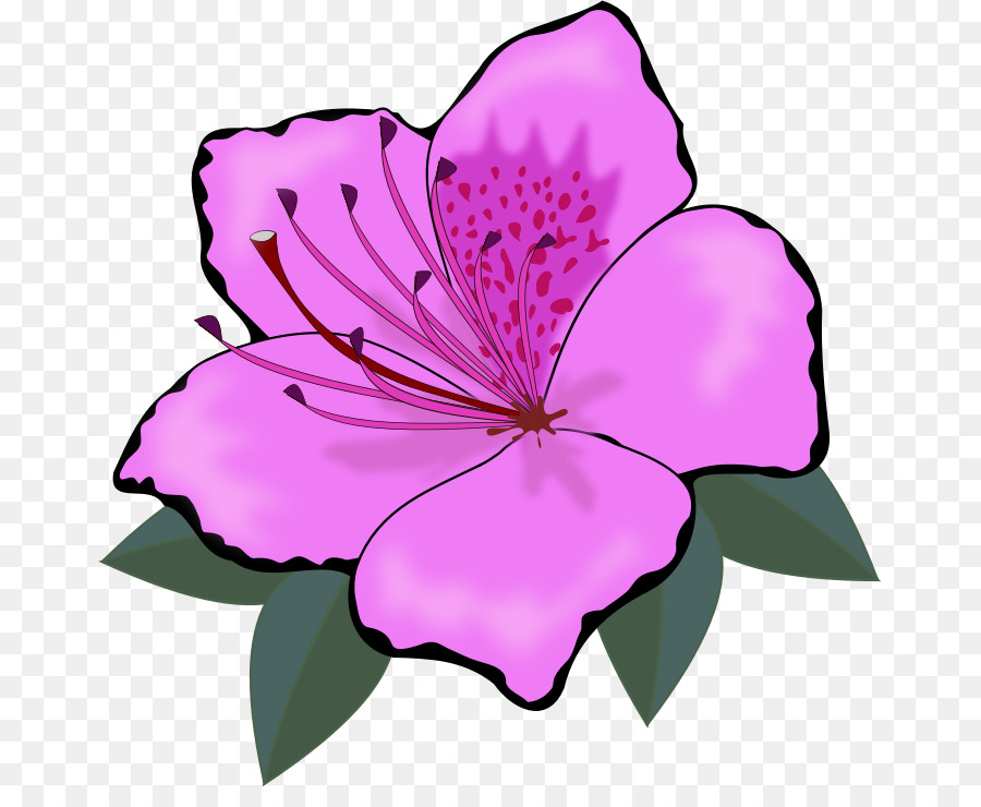 Pink Azalea Flower Illustration - Free Clipart for Gardening & Design