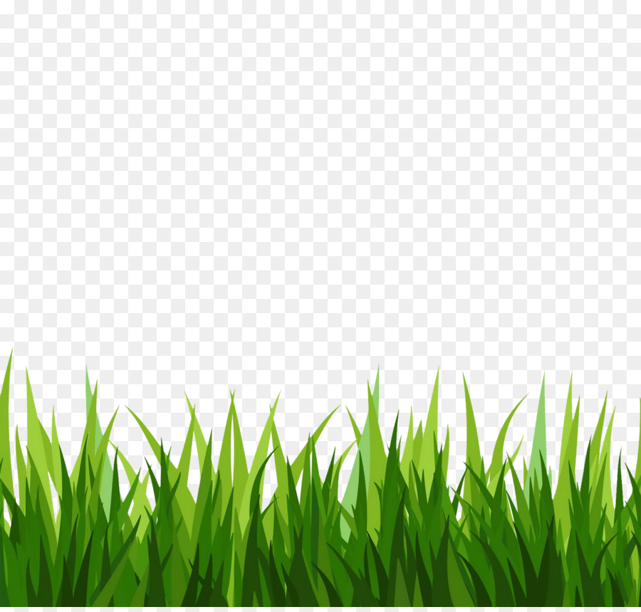 Free Grass Border PNG - Transparent Green Lawn Clipart for Web & Print