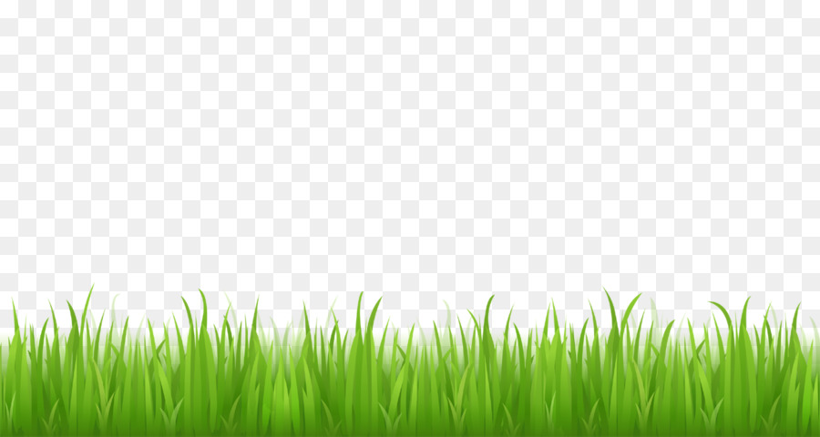 Realistic Green Grass Border PNG - Free Transparent Download