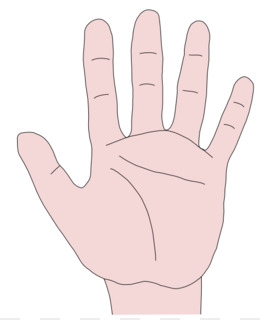 Open Hand Illustration - Palm-Up Gesture for Education and Design