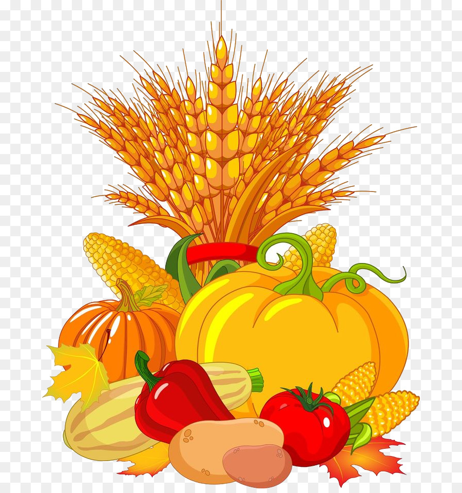 Harvest illustration with wheat, pumpkins, corn, tomatoes, peppers, potatoes, and autumn leaves on transparent background.